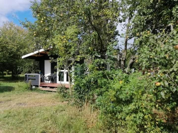 Kiszkowianka Domki Skrzeszewo  Εξωτερικό φωτογραφία